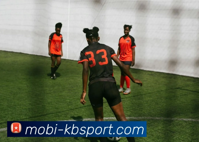 KB体育平台生态图